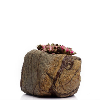 Marble Planter - Brown