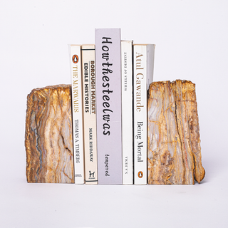 Semi Precious Bookend Set