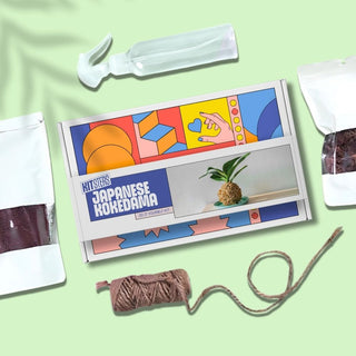 DIY Japanese Kokedama Kit