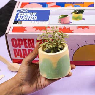 DIY Cement Planter Kit