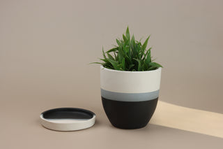 Ceramic Planter with Drainage Plate | Black - White