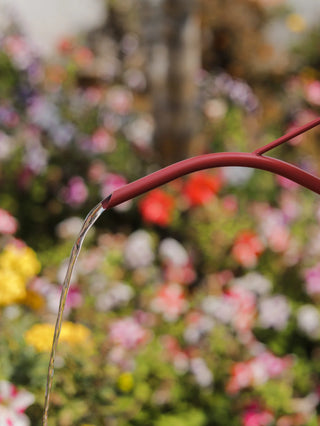 "WATERING CAN