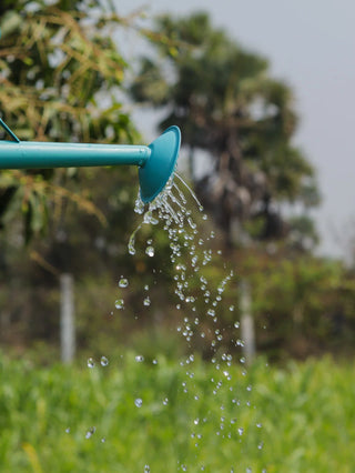 "WATERING CAN