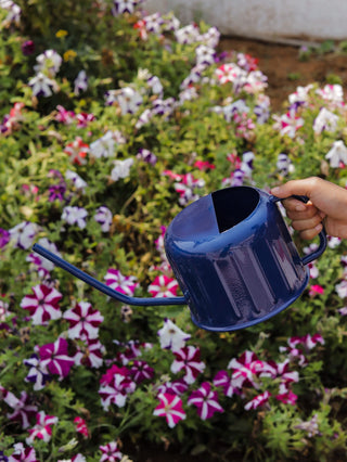 WATERING CAN