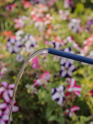 WATERING CAN