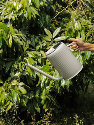 WATERING CAN     WARM GREY