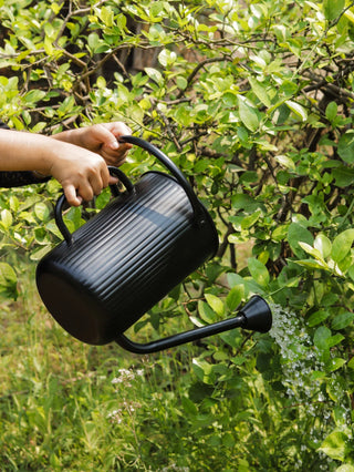 WATERING CAN