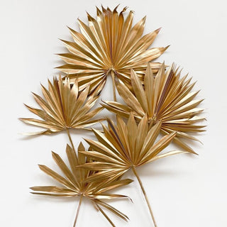 Golden fan palms