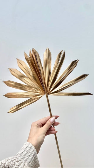 Golden fan palms