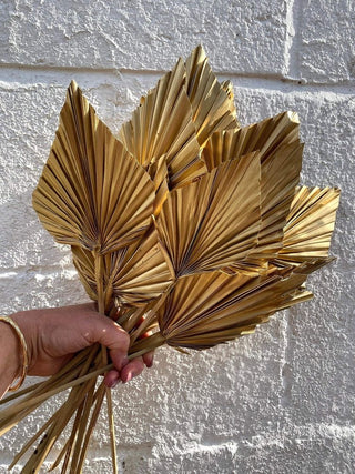 Golden palms
