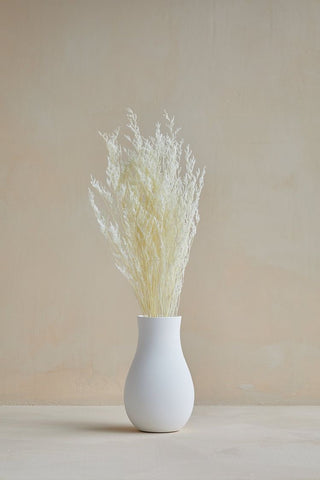 Limonium White for vase filler