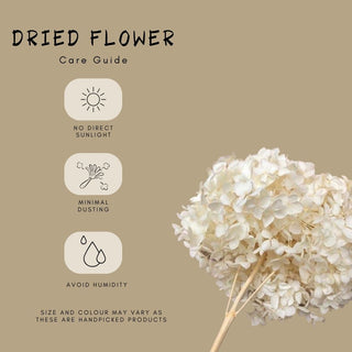 Dessert Bowl set of 2 - white