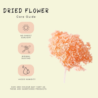 Dessert Bowl set of 2 -Pink