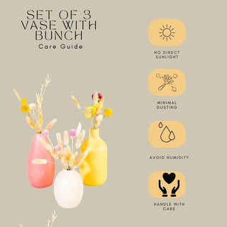 Earthy Essential vase set of 3 with Dried bunches