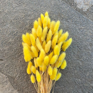 Yellow Bunny tails