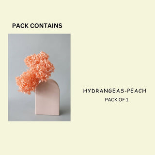 Dessert Bowl set of 2 -Pink