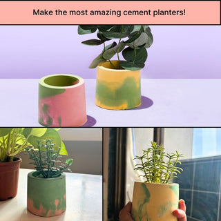 DIY Cement Planter Kit