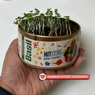 Grow in a Can - Fenugreek