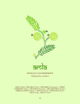 The Herbal Sutra - Indian Wisdom & Wellness Through 100 Herbs By Madhulika Banerjee