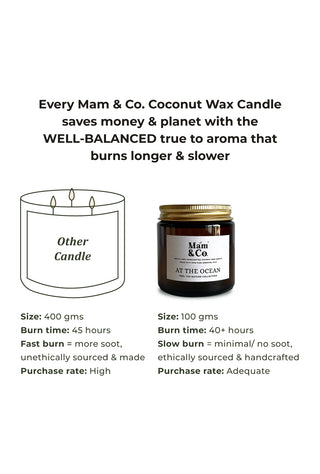 At the Ocean | 100% Coconut Wax Botanical Candle | 40+ Hour Burn Time | Cool Aquatic Fresh Floral Aroma