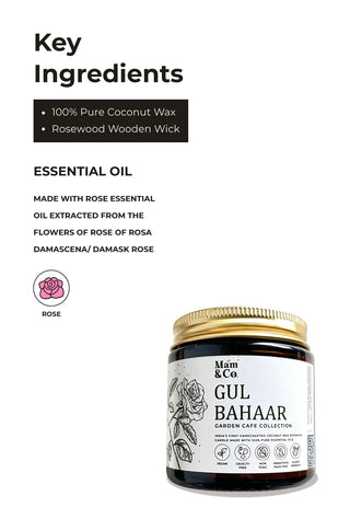 Gul Bahaar | 100% Coconut Wax Botanical Candle | 40+ Hour Burn Time | Rosy Fresh Floral Aroma