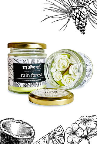 Rain Forest | 100% Coconut Wax Botanical Candle | 60+ Hours Burn | Floral Aroma