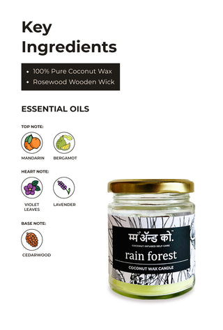 Rain Forest | 100% Coconut Wax Botanical Candle | 60+ Hours Burn | Floral Aroma