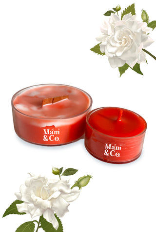 Gardenia Clouds Coconut Wax Candle | Set of 2 Large & Small tealight