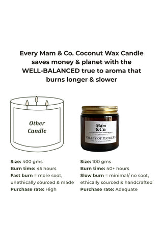 Nature Trail Bundle- Set of 2 Coconut Wax Candles