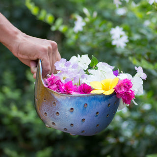 Berry Bowl | Sahyadri Hues