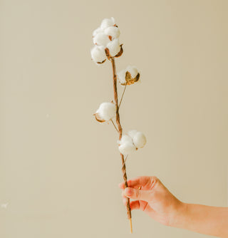 Emerald Green Glass Vase with cotton stem