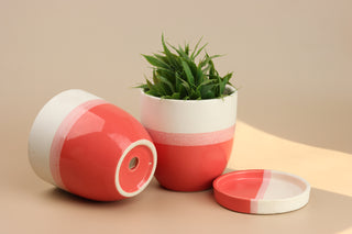 Ceramic Planter with Drainage Plate | Pink-White