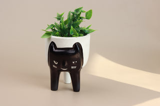 Ceramic Cute Cat Planter