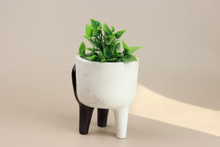 Ceramic Cute Cat Planter