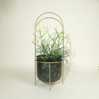 Luna Standing Planter-Short