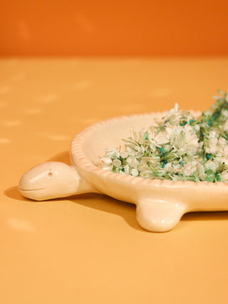 Turtle Trinket Dish