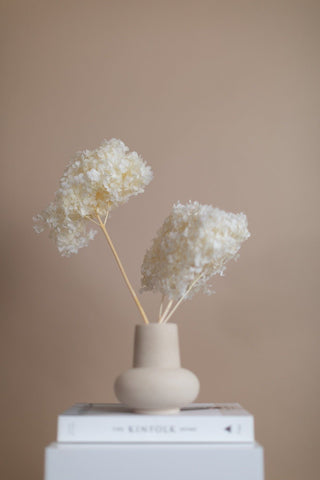 Dessert Bowl set of 2 - white