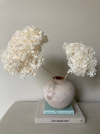 Dessert Bowl set of 2 - white