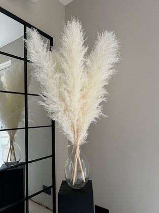White pampas bunch