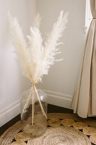 White pampas bunch