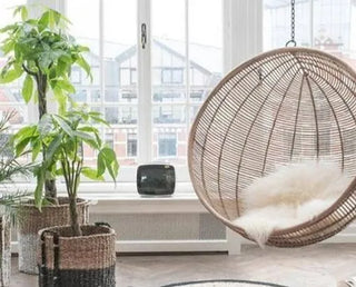 The Ivah hanging chair with stand