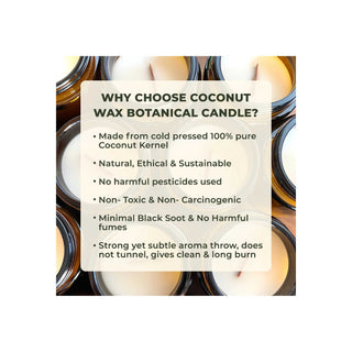 At the Ocean Coconut Wax Botanical Candle