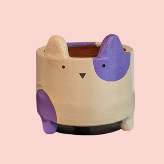 Terracotta Planters - Small Catty Purple