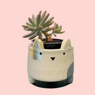 Terracotta Planters - Small Catty Gold & Grey
