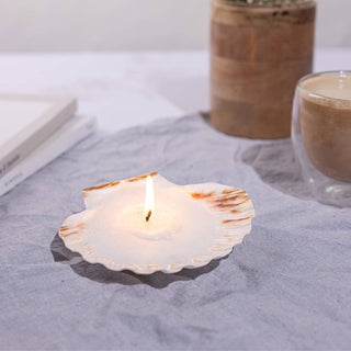 Sea Shell  Soy Wax Scented  Candle