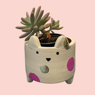Terracotta Planters - Small Catty Gold & Pink Spotted