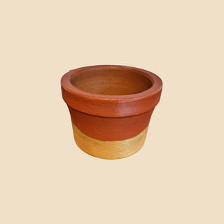 Terracotta Planter - Round Succulent