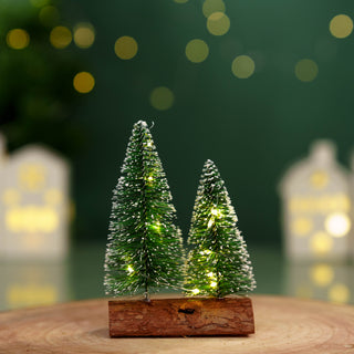 "Pine Tree with LED  Light"