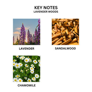 Lavender Woods | Perfume Infused Wax Tablets (Set of 2)