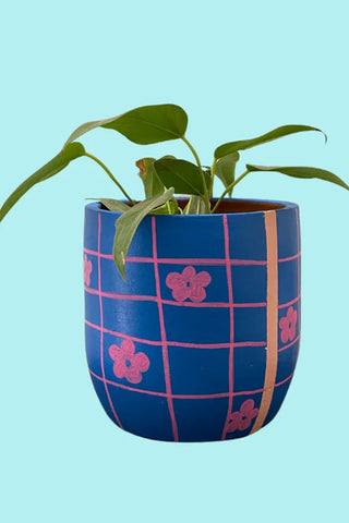 Terracotta Planters - Flower Check
